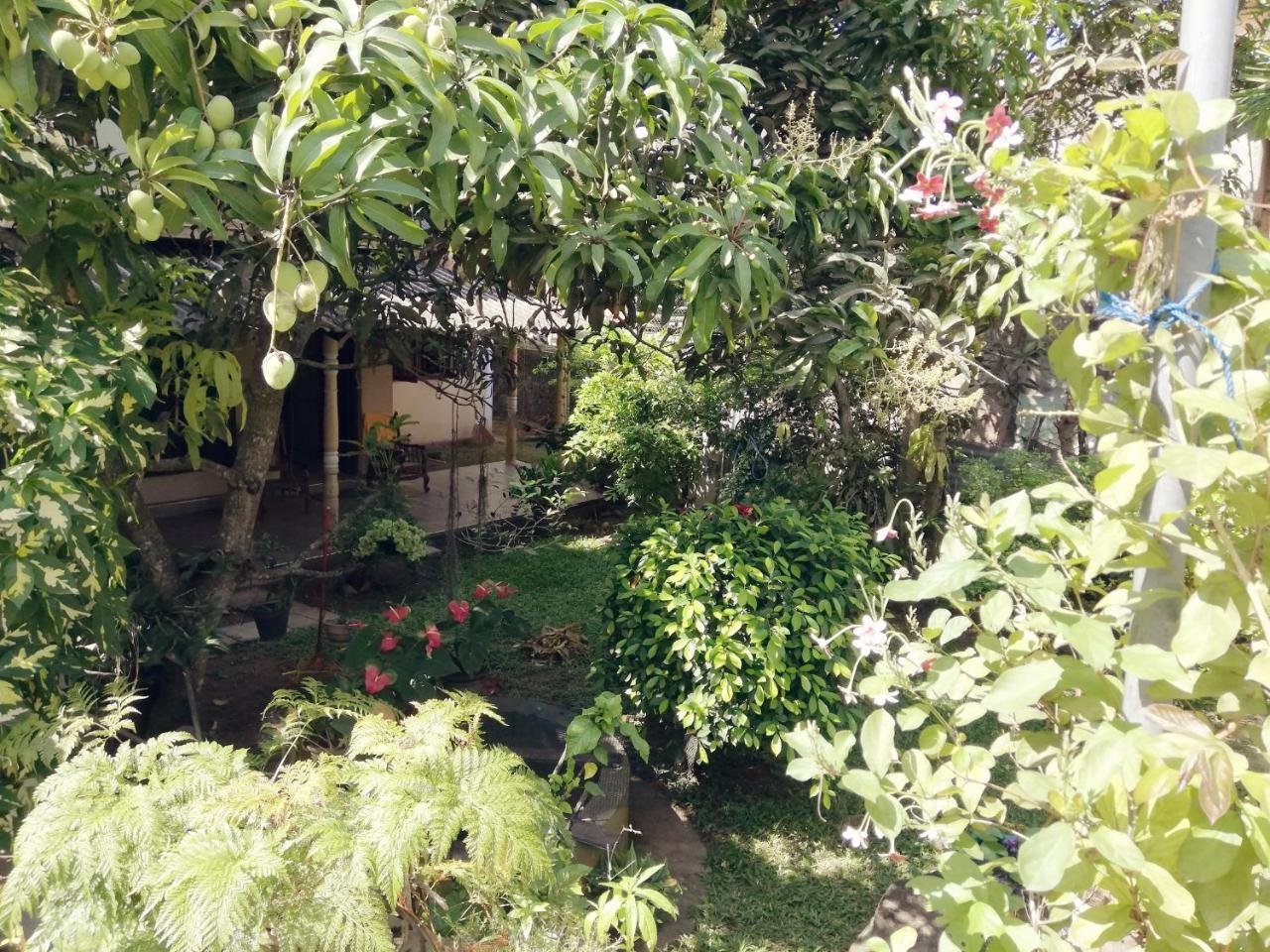 Nisadi Villa Bentota Esterno foto